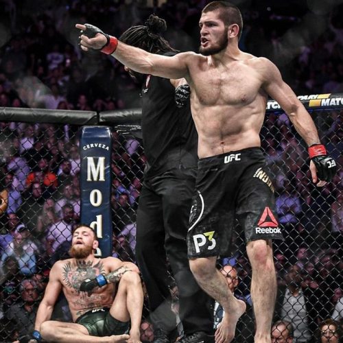 khabib 29-0 the undefeated legend